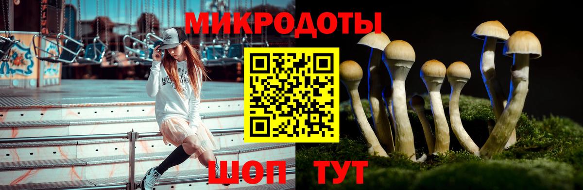 Галлюциногенные грибы мицелий Белогорск